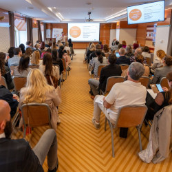 staparski tsa 2024 06